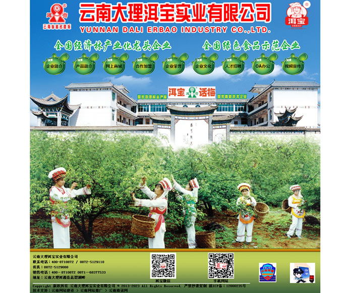 云南網(wǎng)站建設(shè)、昆明網(wǎng)站建設(shè)、云南網(wǎng)站制作、昆明網(wǎng)站制作、云南微網(wǎng)站制作、云南網(wǎng)站優(yōu)化推廣、大理網(wǎng)站建設(shè)、麗江網(wǎng)站建設(shè)、大理網(wǎng)站制作、麗江網(wǎng)站制作、保山網(wǎng)站建設(shè)、德宏網(wǎng)站建設(shè)、文山網(wǎng)站建設(shè)、楚雄網(wǎng)站建設(shè)、紅河網(wǎng)站建設(shè)、云南政府網(wǎng)站建設(shè)、普洱網(wǎng)站建設(shè)